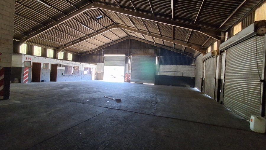 To Let Commercial Property for Rent in Wilsonia Eastern Cape